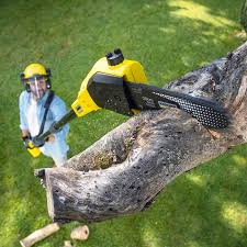 Best Utility Line Clearance  in Walnut Grove, CA