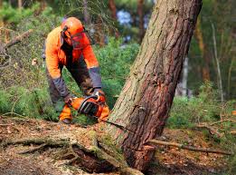 Mulching Services in Walnut Grove, CA
